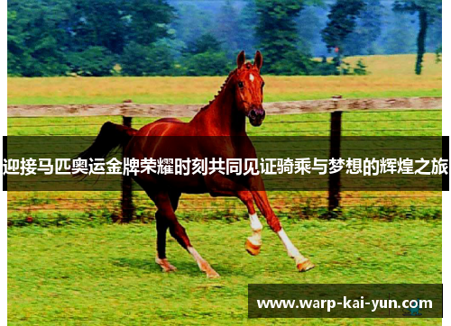 迎接马匹奥运金牌荣耀时刻共同见证骑乘与梦想的辉煌之旅